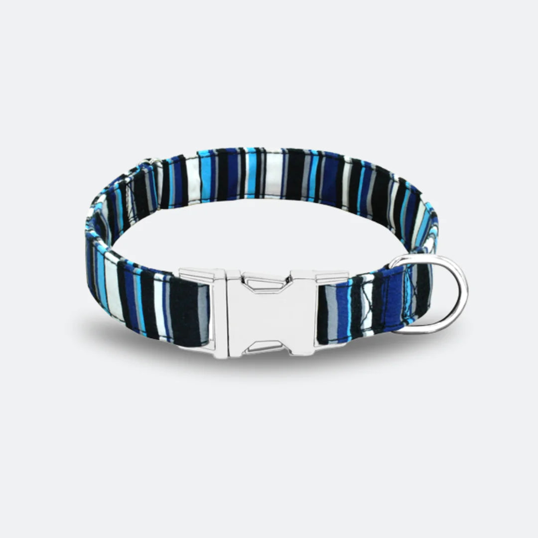 Personalized Dog Collar