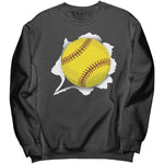 Softball Sweatshirt