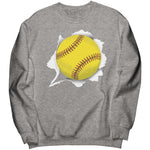 Softball Sweatshirt